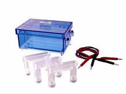 �����|�����Ӿ�x(��)DYCP-43��