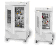 �������B(y��ng)����������ʮ�ξ���