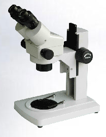 �m(x��)׃���wҕ�@΢�RXTL-2800