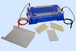 �aƷ���Q��DYCP-33B��֬��ˮƽ�Ӿ��