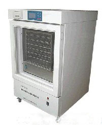 ���a���ѪС����ʎ������