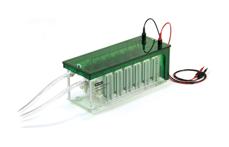 ����Mini-PROTEAN&reg; 3 Dodeca™С�͸�ͨ���Ӿ��