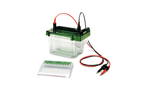 ����Criterion™�Ӿ��