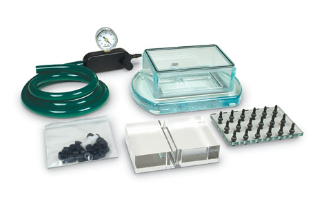 Aurum ���ģ�K