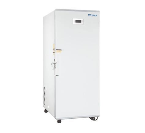 ���͜�����惦(ch��)��DW-FL362