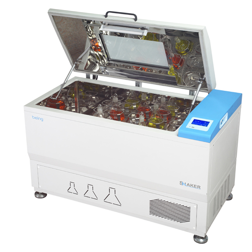 �����ʎ��BSI-31